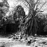 Retro black and white negative film | 35 mm & roll film | ISO 80/400